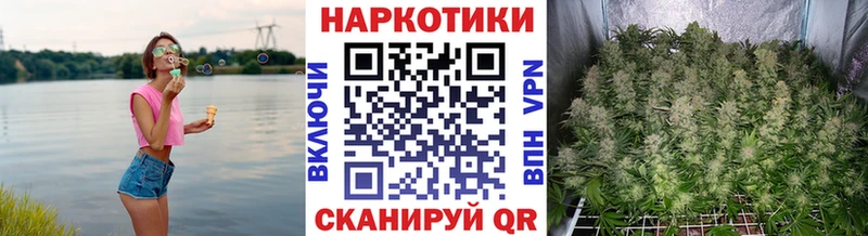 Виды наркотиков купить Мосальск ГАШИШ  OMG маркетплейс  Cocaine  Alpha PVP  Меф  Бошки Шишки 